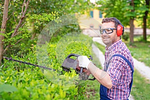 One gardener shaping hedge using hedge trimmer