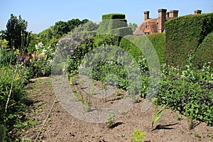 One of the gardens in Great Dixter House & Gardens in the summer.