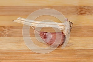 One garlic clove on stem with root on wooden surface