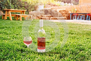 One glass and bottle of red or rose wine in autumn vineyard in green grass. Harvest time, picnic, fest theme.