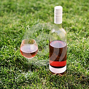 One glass and bottle of red or rose wine in autumn vineyard in green grass. Harvest time, picnic, fest theme.