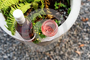 One glass and bottle of red or rose wine in autumn vineyard. Harvest time, picnic, fest theme.