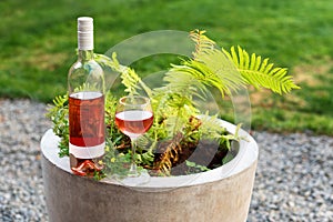 One glass and bottle of red or rose wine in autumn vineyard. Harvest time, picnic, fest theme.