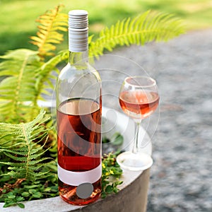 One glass and bottle of red or rose wine in autumn vineyard. Harvest time, picnic, fest theme.