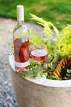 One glass and bottle of red or rose wine in autumn vineyard. Harvest time, picnic, fest theme.