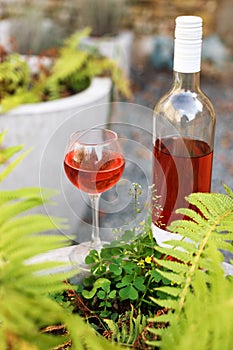 One glass and bottle of red or rose wine in autumn vineyard. Harvest time, picnic, fest theme.