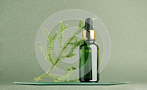 One glass dropper bottle and natural branch of moss on mirror, green background. Natural Organic Spa Cosmetic concept. Front view