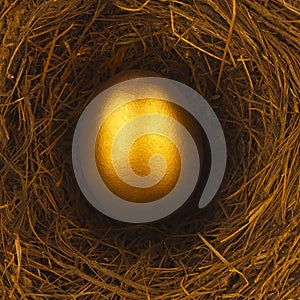 ONE GOLDEN EGG IN BIRDS NEST