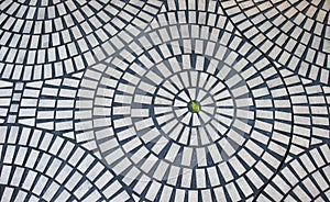 One green leaf in circular brick pattern