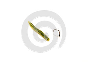 One green pumpkin plastic worm with weedless bait holder hook isolated on white background