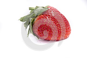 One green top big red strawberry with seed showing