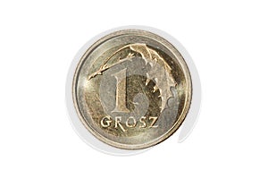 One groszy. Polish zloty. The Currency Of Poland. Macro photo of a coin. Poland depicts a One-Polish groszy coin.