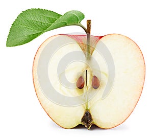 One half apple with leaves isolated