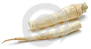 Parsley root isolated