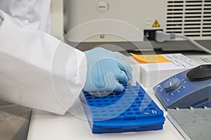 One hand with blue nitril gloves arranging plastic eppendorf tubes in a blue plastic rack.