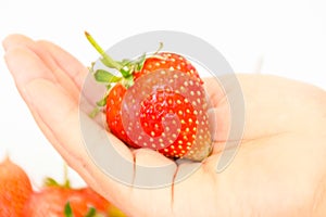 One hand holding strawberry fresh fruit