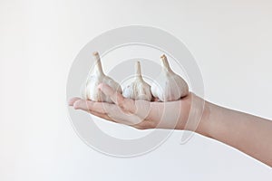 One hand holds three heads of garlic in the palm of your hand. The concept of the use of garlic and healthy eating