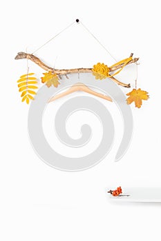 One hanger on thick wooden stick with fall yellow leaves and shelf on white background. Concept Season autumn sale or Eco-Friendly