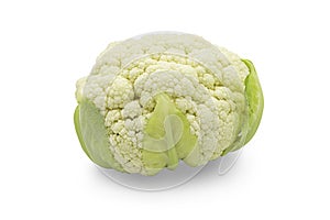 One head fresh organic white cauliflower on white isolated background with clipping path. Cauliflower have high carbohydrate and