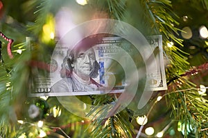 One hundred dollar bill on a christmas tree branch. Concept.