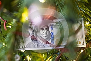 One hundred dollar bill on a christmas tree branch. Concept.