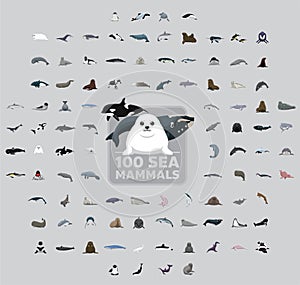 One Hundred Sea Mammals Cartoon Vector Illustration Set