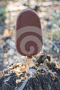 one ice cream in brown chocolate