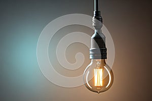 One illuminated E27 light bulb