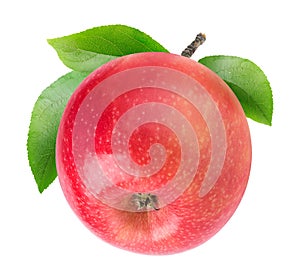 One isolated apple with stem