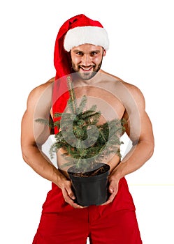 One isolated caucasian strong young guy dressed as Santa Claus with Christmas tree in his hand