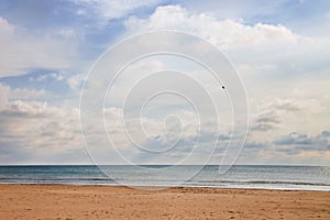 Single Leaf Drifting Down Vast Beach Landscape