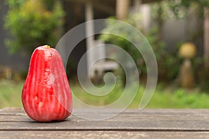 One Jambu Guava on Wood Ground in Garden