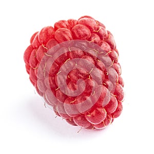 One juicy raspberry on white background