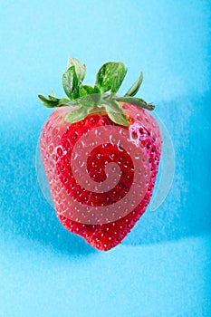 One juicy strawberry on blue background
