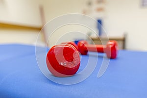 One kilo weights lies on a blue mat