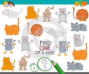 One of a kind game with cartoon cats