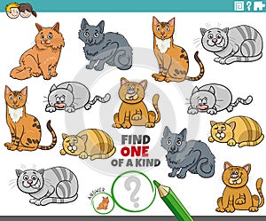 one of a kind game with cartoon cats and kittens