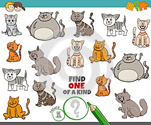 One of a kind game for kids with comic cats