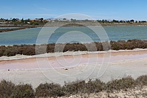 One of the lagoons with different types of birds in the Salinas del Pinet, La Marina, Alicante, Spain
