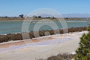 One of the lagoons with the mountains in the background with different types of birds in the Salinas del Pinet