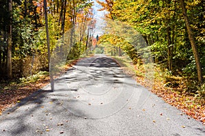 One-lane Road Through Woods