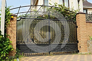 One large black metal gate with an iron wrought iron pattern