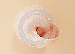 One large empty shell of mollusk