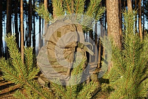 one large green tactical backpack hanging on coniferous branches