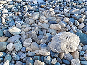 One large grey stone with white stripes lies on a multicolored pebble
