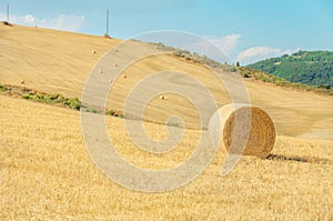 One large stack of straw rolled into a roll and several small ones in the distance lie on a sloping mowed field somewhere in