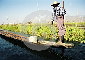 One leg boat rower - visible grain