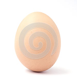 One light brown chicken egg.