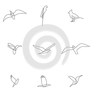 One line bird set. Birds collection. Hand drawn vector illustration