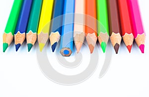 One line of different colored wood pencil crayons placed on a white paper background